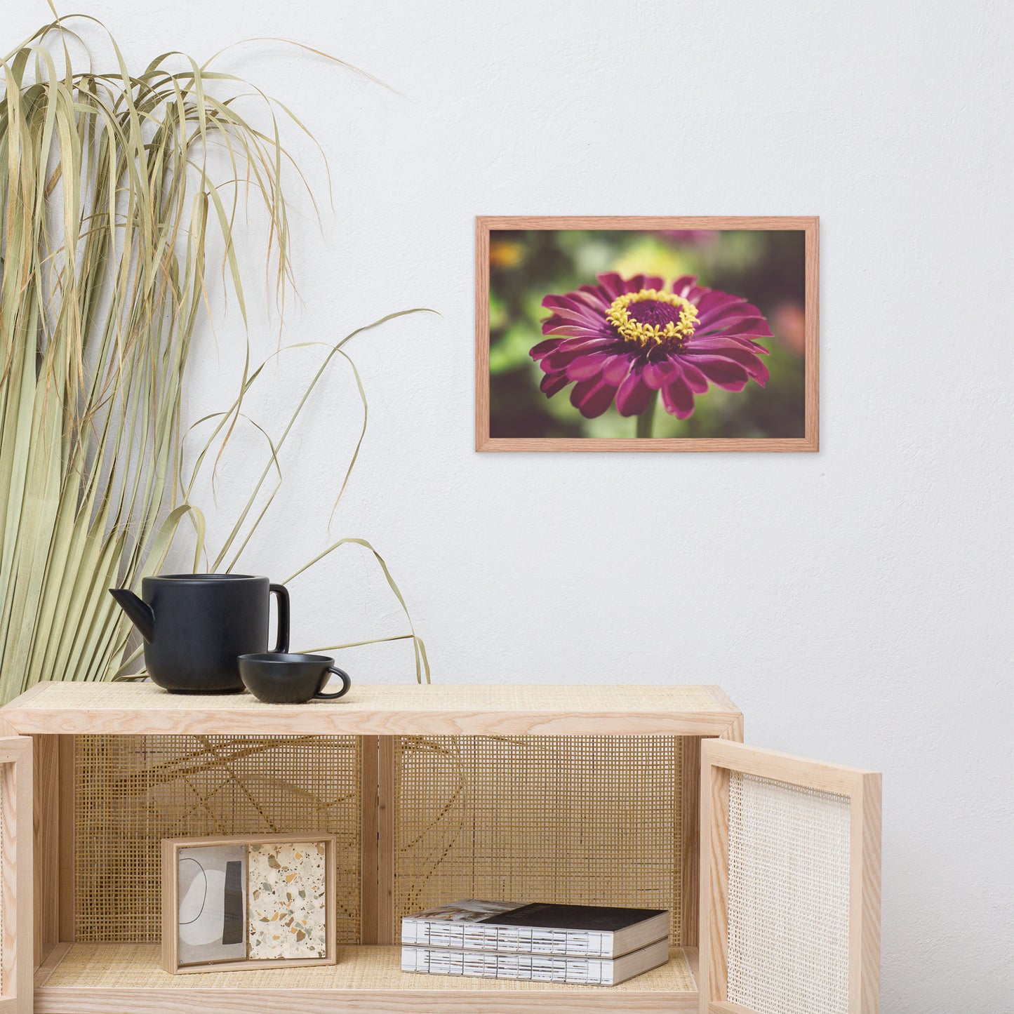 Moody Young-and-Old Age Pink Zinnia Flower Bloom Floral Nature Photo Framed Wall Art Print