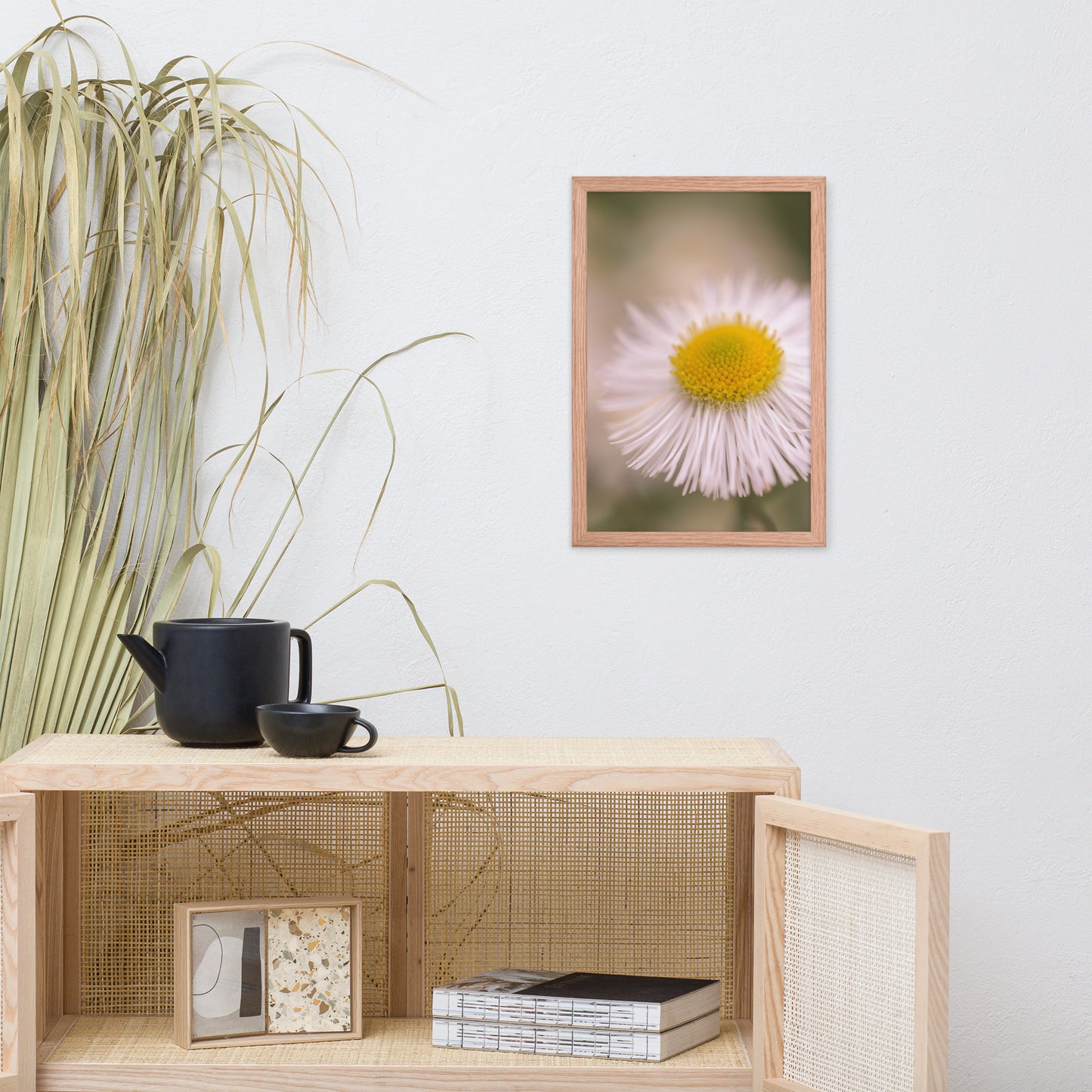 Philadelphia Fleabane Single Bloom Floral Nature Photo Framed Wall Art Print