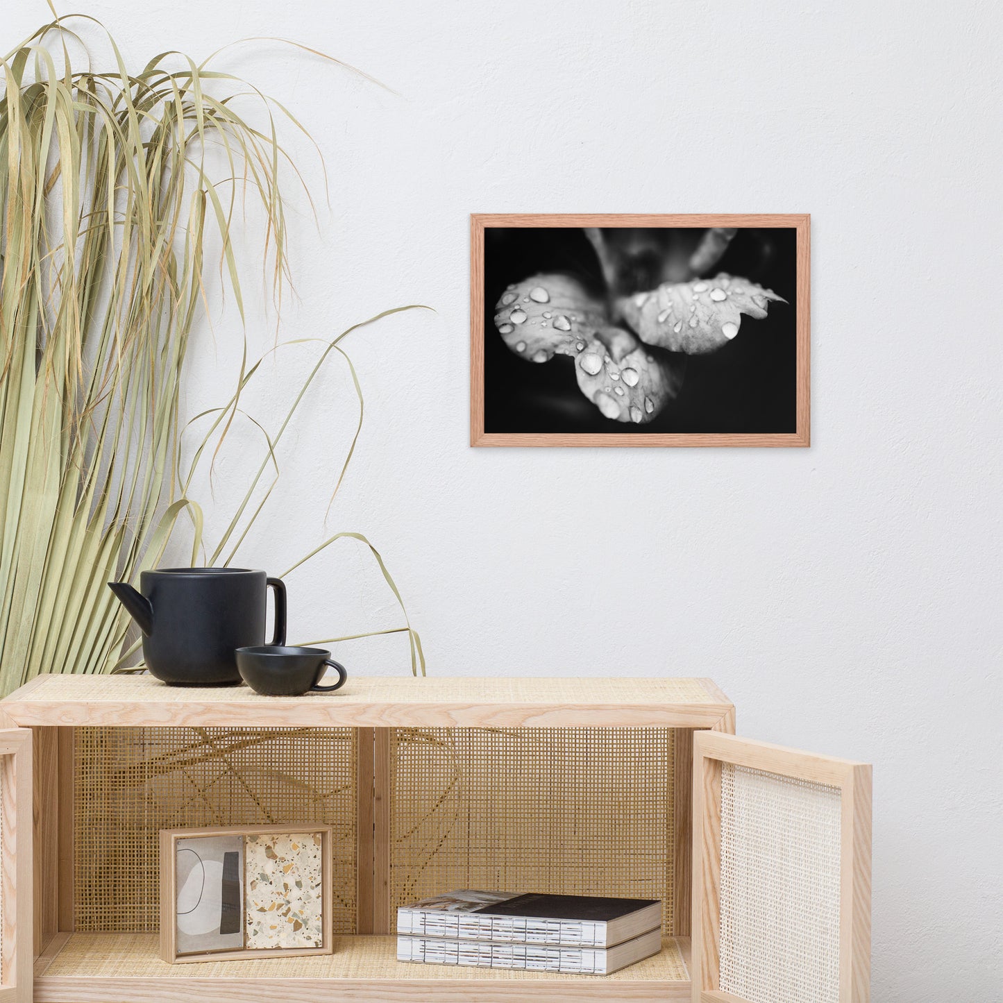 Raindrops on Wild Rose Black and White Floral Nature Photo Framed Wall Art Print