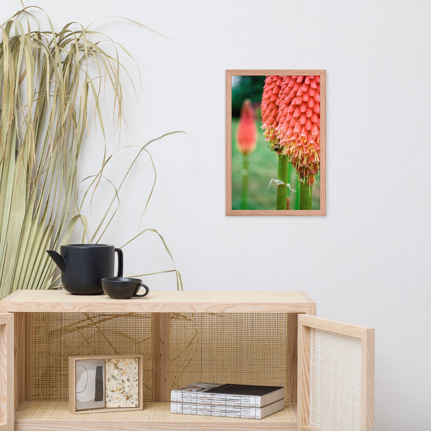 Red Hot Pokers Floral Nature Photo Framed Wall Art Print