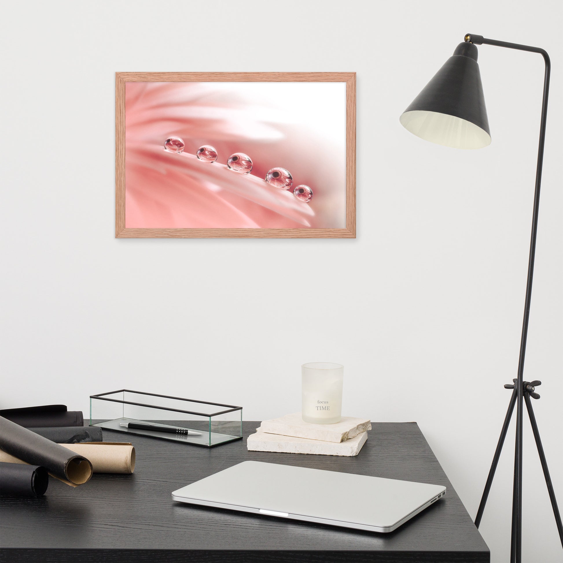 Vintage Photos: Dew Drops on Gerbera Daisy Petals Floral Botanical Photograph Shabby Chic - Vintage Framed Wall Art Print