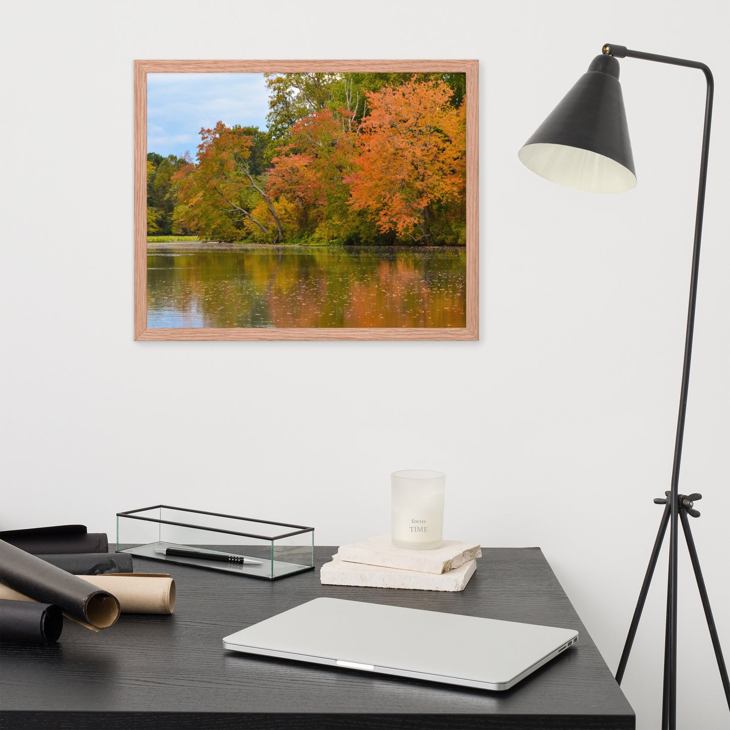 Wall Art Prints For Laundry Room: Autumn Tree Line - Rural / Country Style Landscape / Nature Photograph Framed Wall Art Print - Wall Decor - Artwork