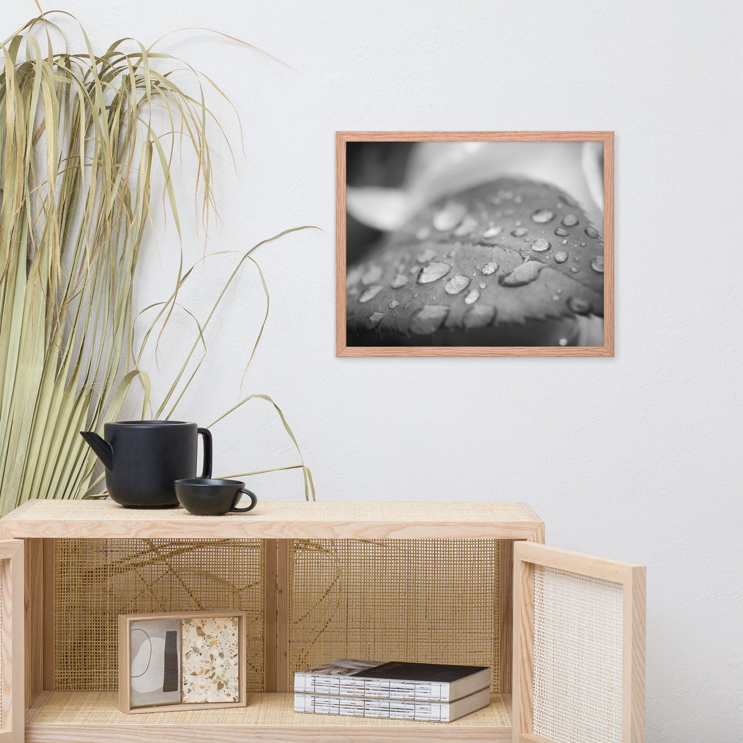 Dew on Leaf of Rose Plant Black and White Botanical Nature Photo Framed Wall Art Print