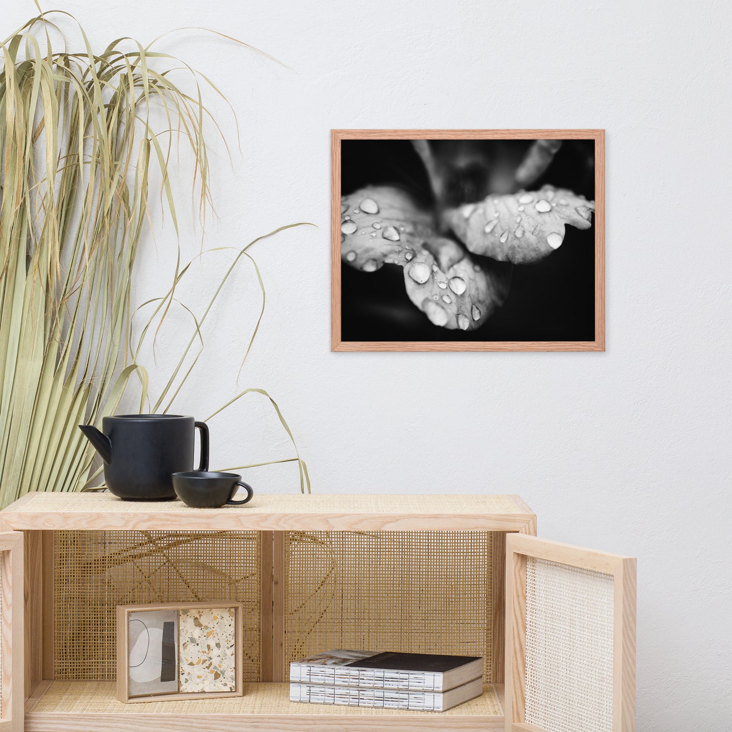 Raindrops on Wild Rose Black and White Floral Nature Photo Framed Wall Art Print