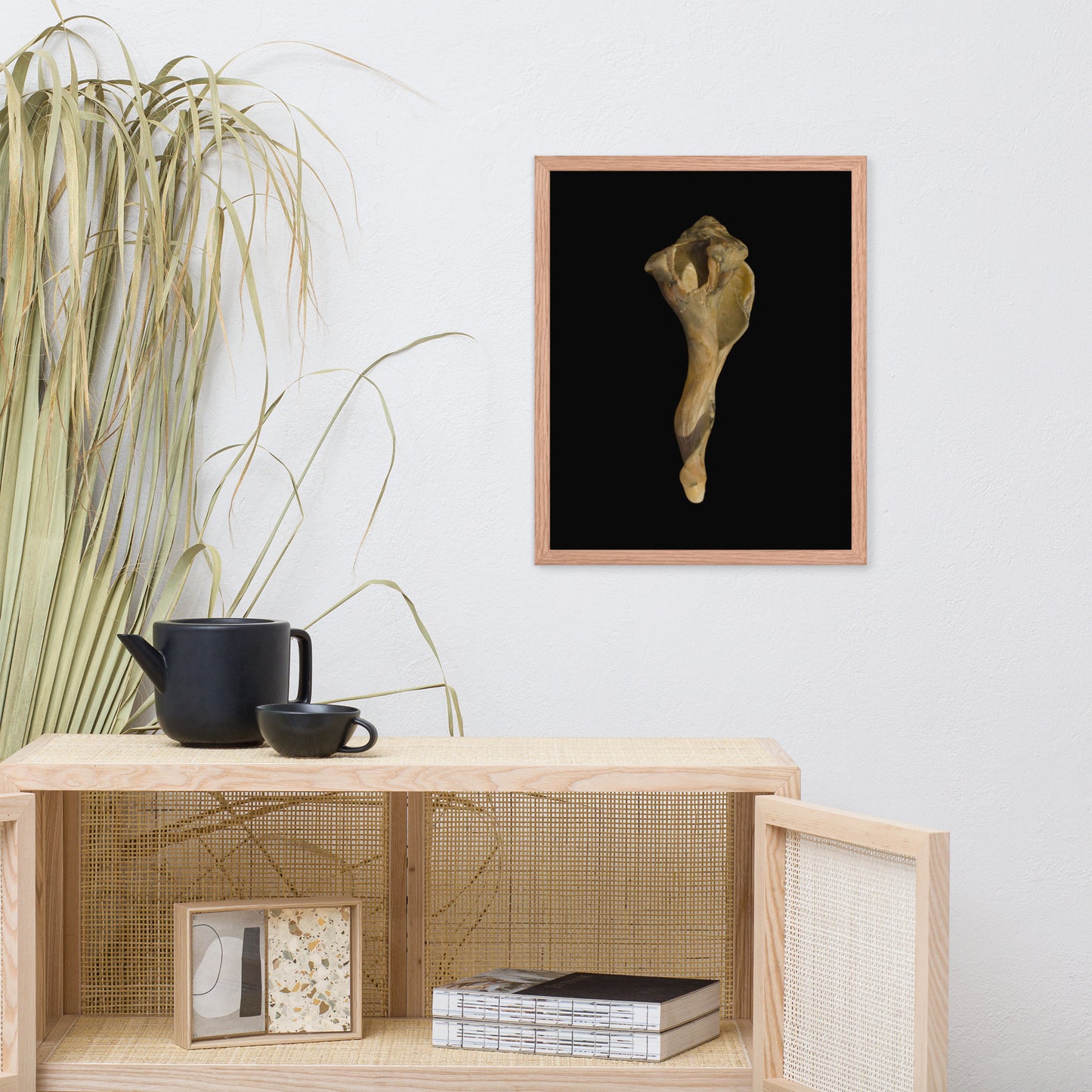 States of Erosion Image 3 Whelk Shell Coastal Nature Photo Framed Wall Art Print
