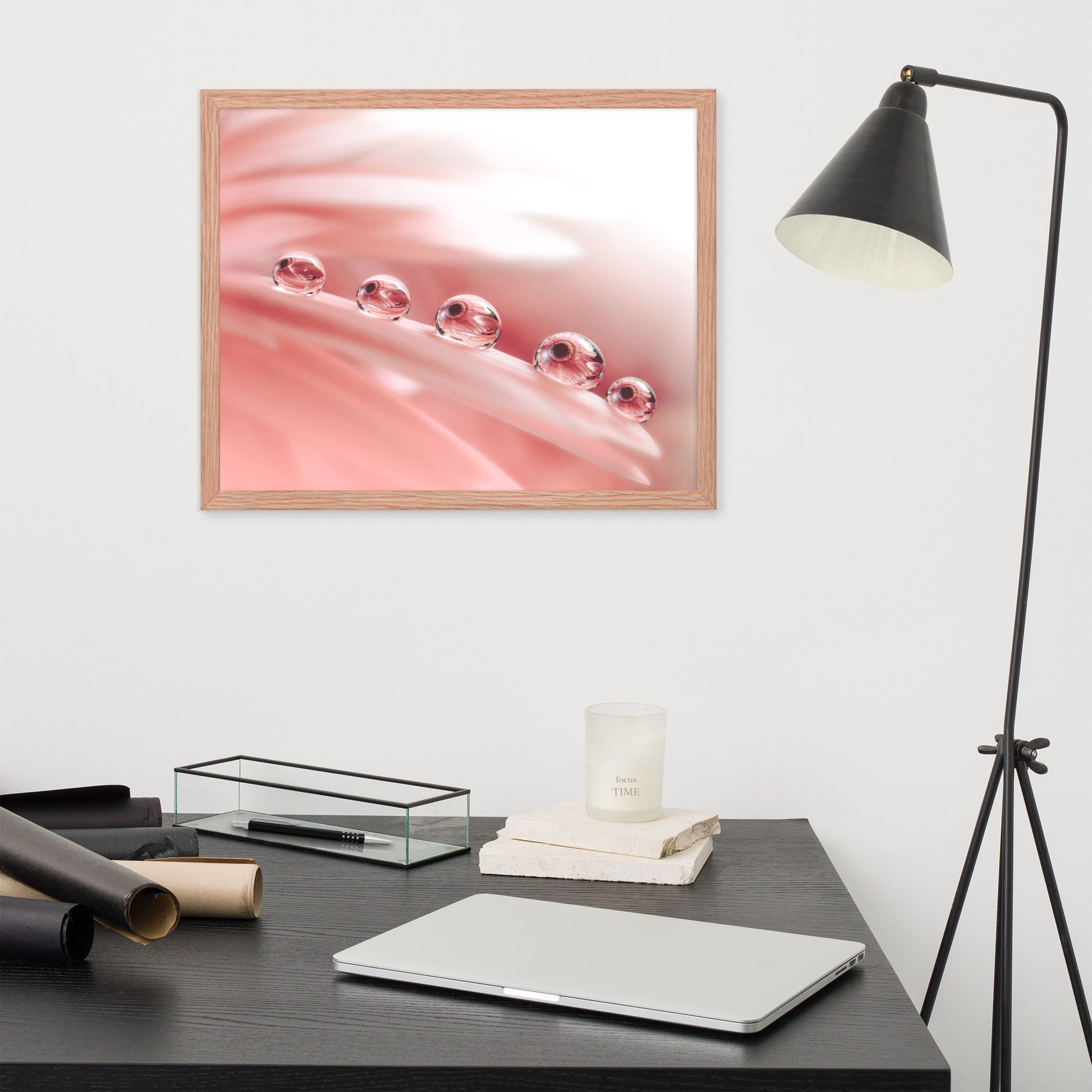 Inspirational Photos: Dew Drops on Gerbera Daisy Petals Floral Botanical Photograph Shabby Chic - Vintage Framed Wall Art Print