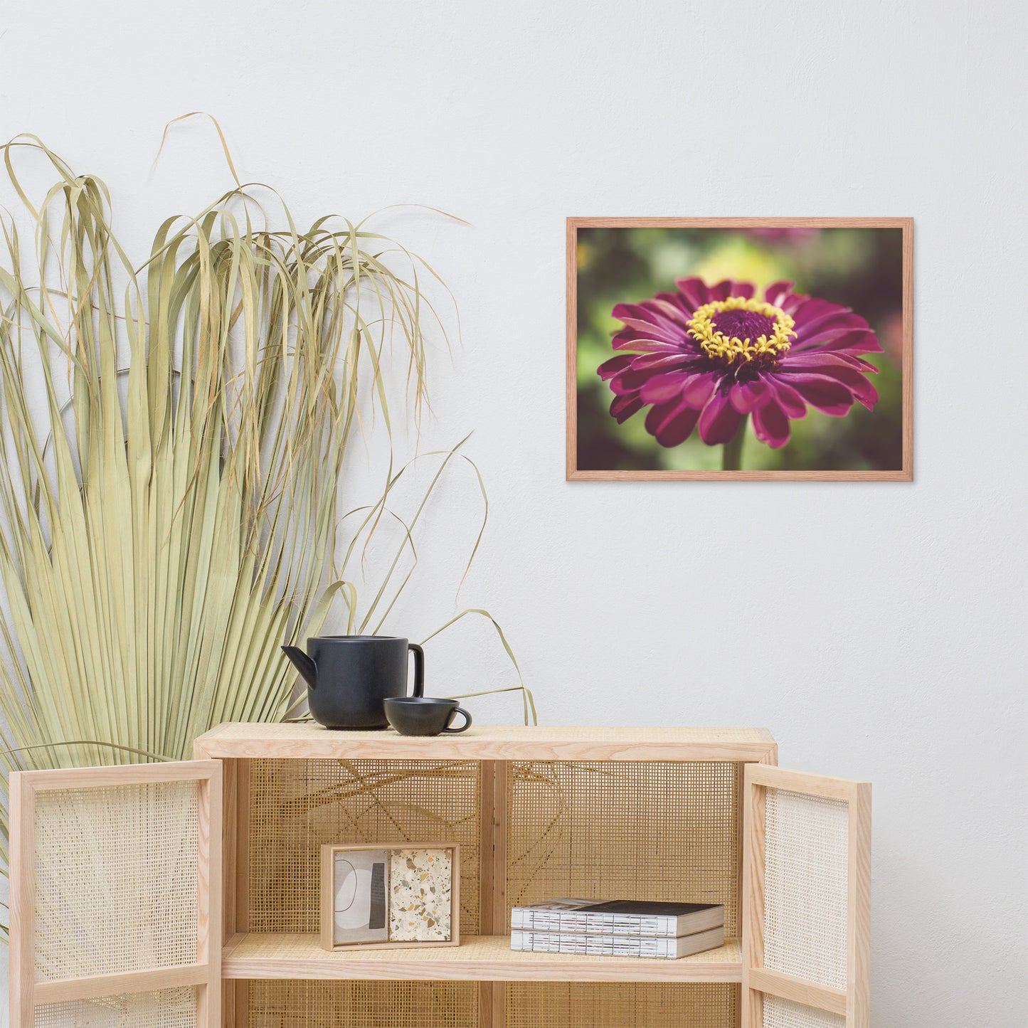 Moody Young-and-Old Age Pink Zinnia Flower Bloom Floral Nature Photo Framed Wall Art Print