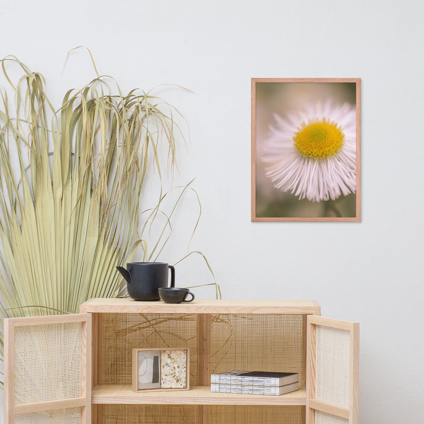 Philadelphia Fleabane Single Bloom Floral Nature Photo Framed Wall Art Print