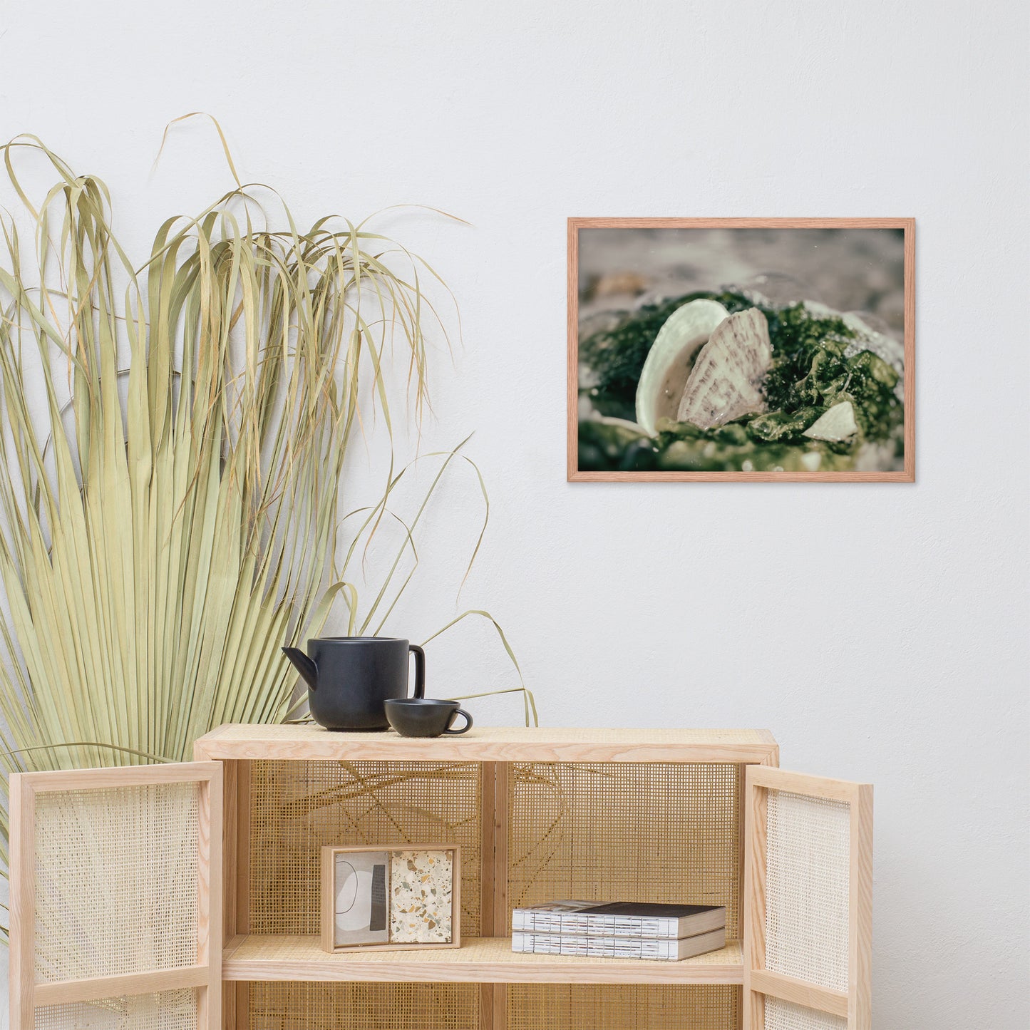 Seaweed and Shells Coastal Nature Photo Framed Wall Art Print