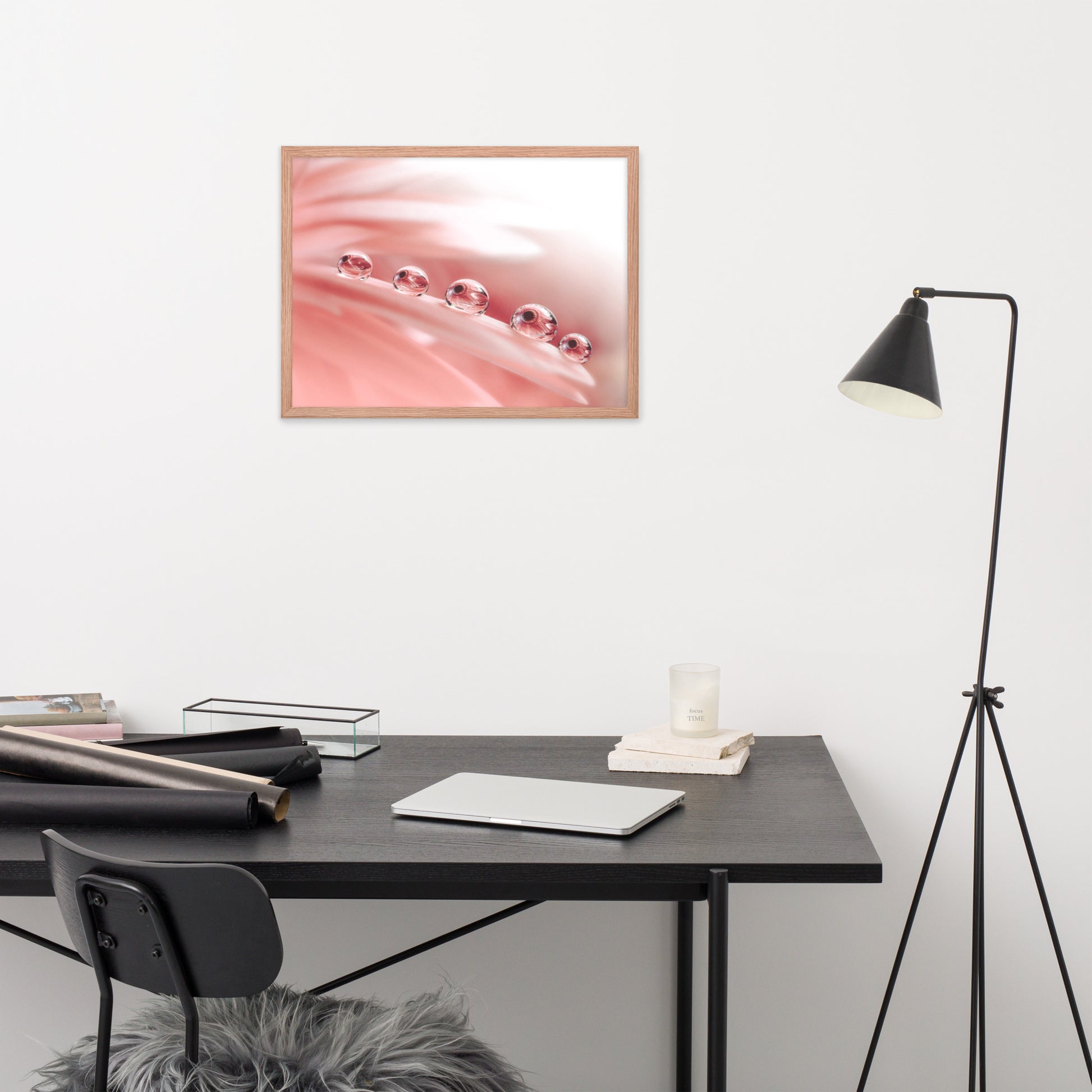 Photo Wall Art: Dew Drops on Gerbera Daisy Petals Floral Botanical Photograph Shabby Chic - Vintage Framed Wall Art Print