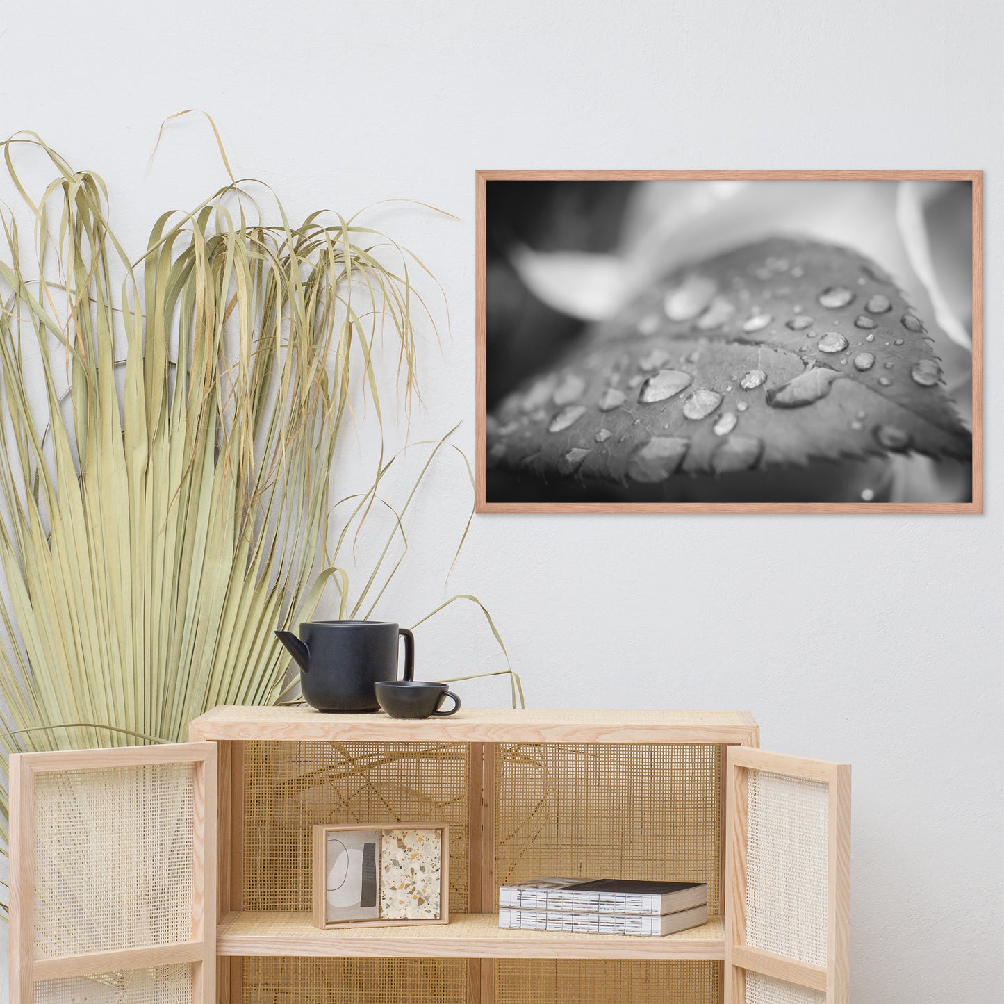 Dew on Leaf of Rose Plant Black and White Botanical Nature Photo Framed Wall Art Print