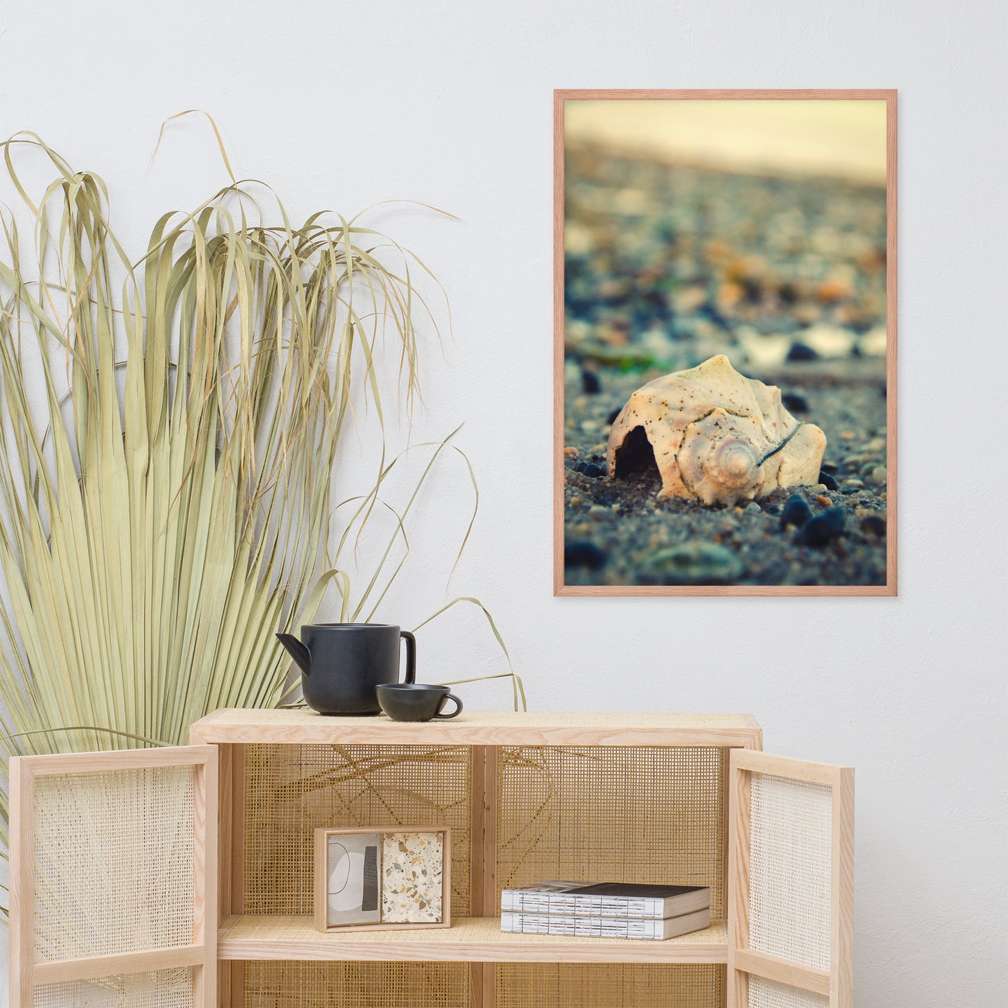 Shell at Bowers 2 Coastal Nature Photo Framed Wall Art Print