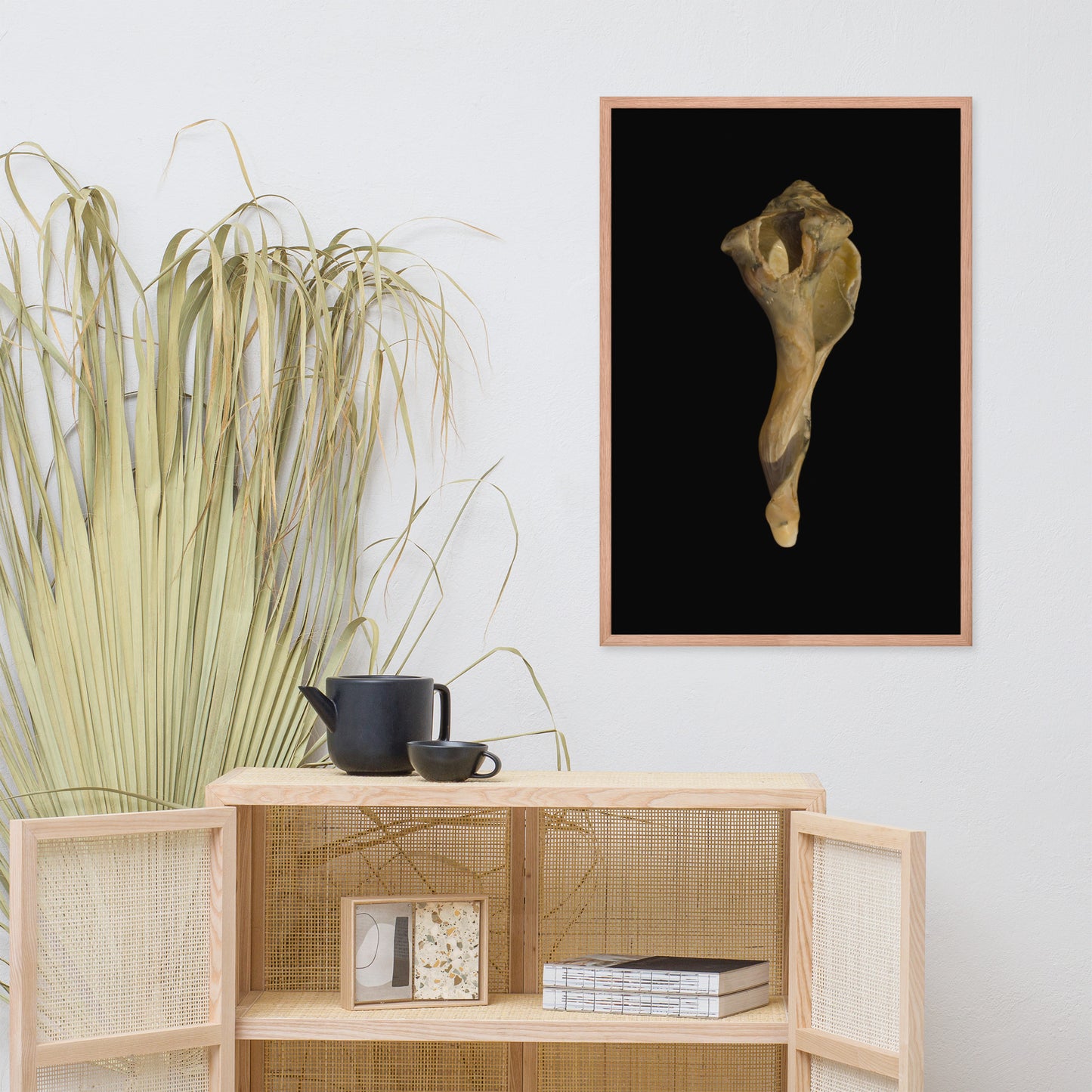 States of Erosion Image 3 Whelk Shell Coastal Nature Photo Framed Wall Art Print