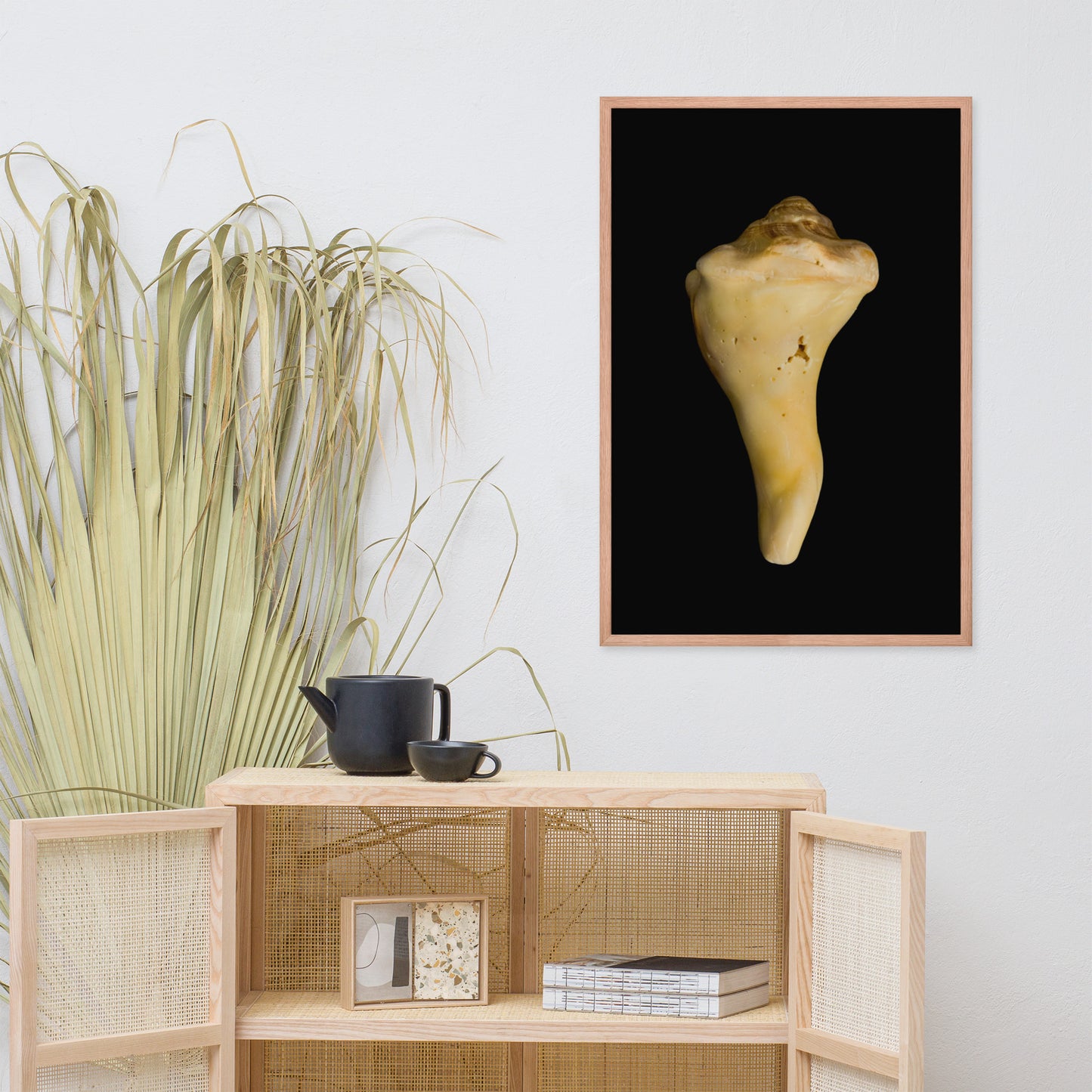 State of Erosion Image 8 Whelk Shell Coastal Nature Photo Framed Wall Art Print