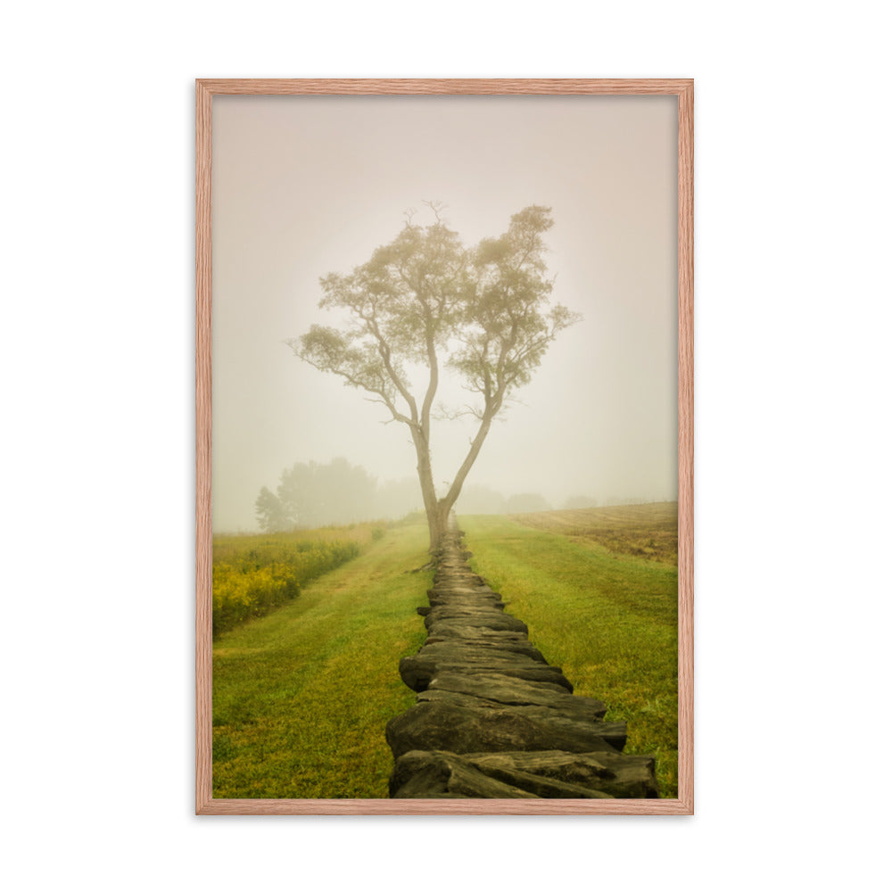 Calming Morning Rural Landscape Framed Photo Wall Art Prints
