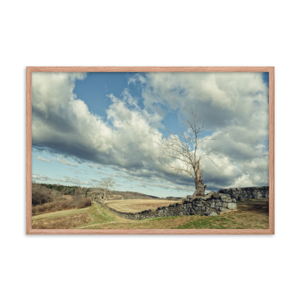 Dead Tree and Stone Wall - Split Toned Framed Photo Wall Art Prints