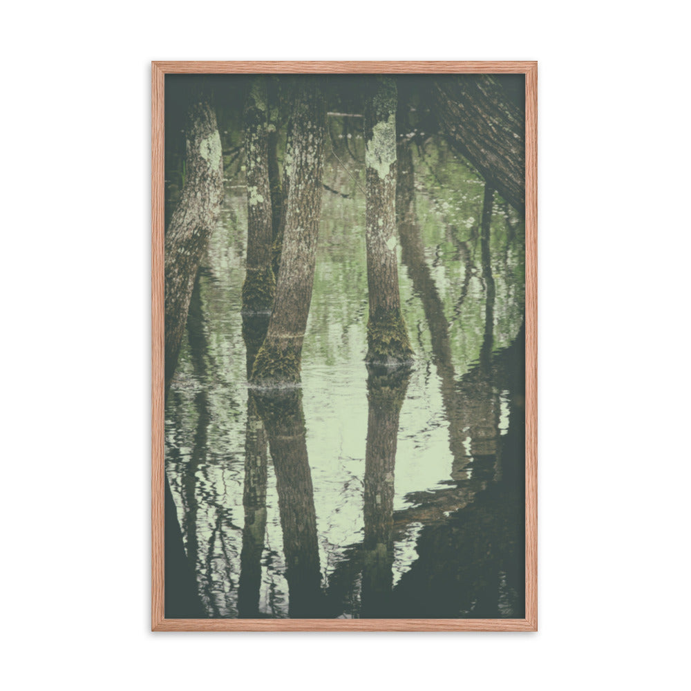 Early Spring Reflections on the Marsh Botanical Nature Photo Framed Wall Art Print