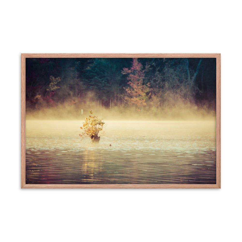 Golden Mist on Waples Pond Framed Photo Paper Wall Art Prints