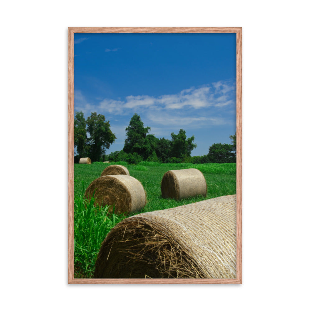 Hay Whatcha Doin in the Field Landscape Framed Photo Paper Wall Art Prints