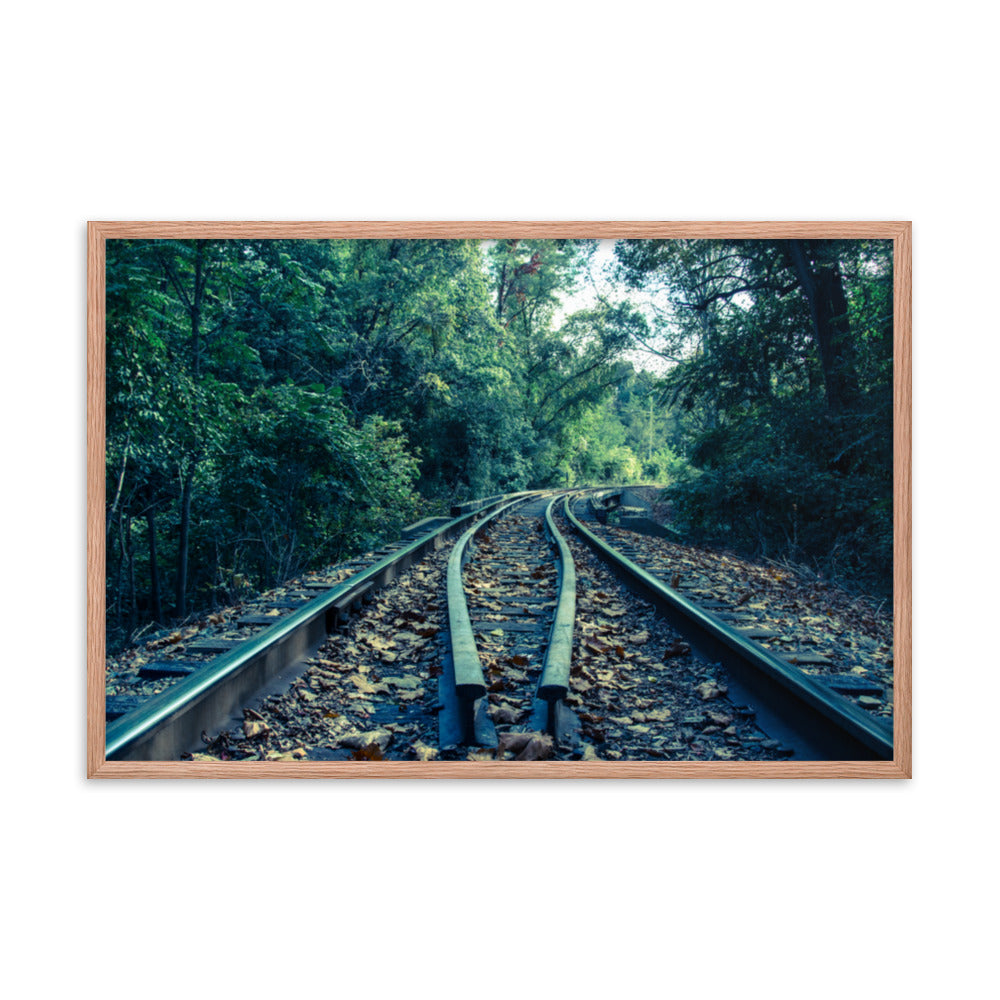 Lead Me into the Light - Colorized Framed Photo Paper Wall Art Prints