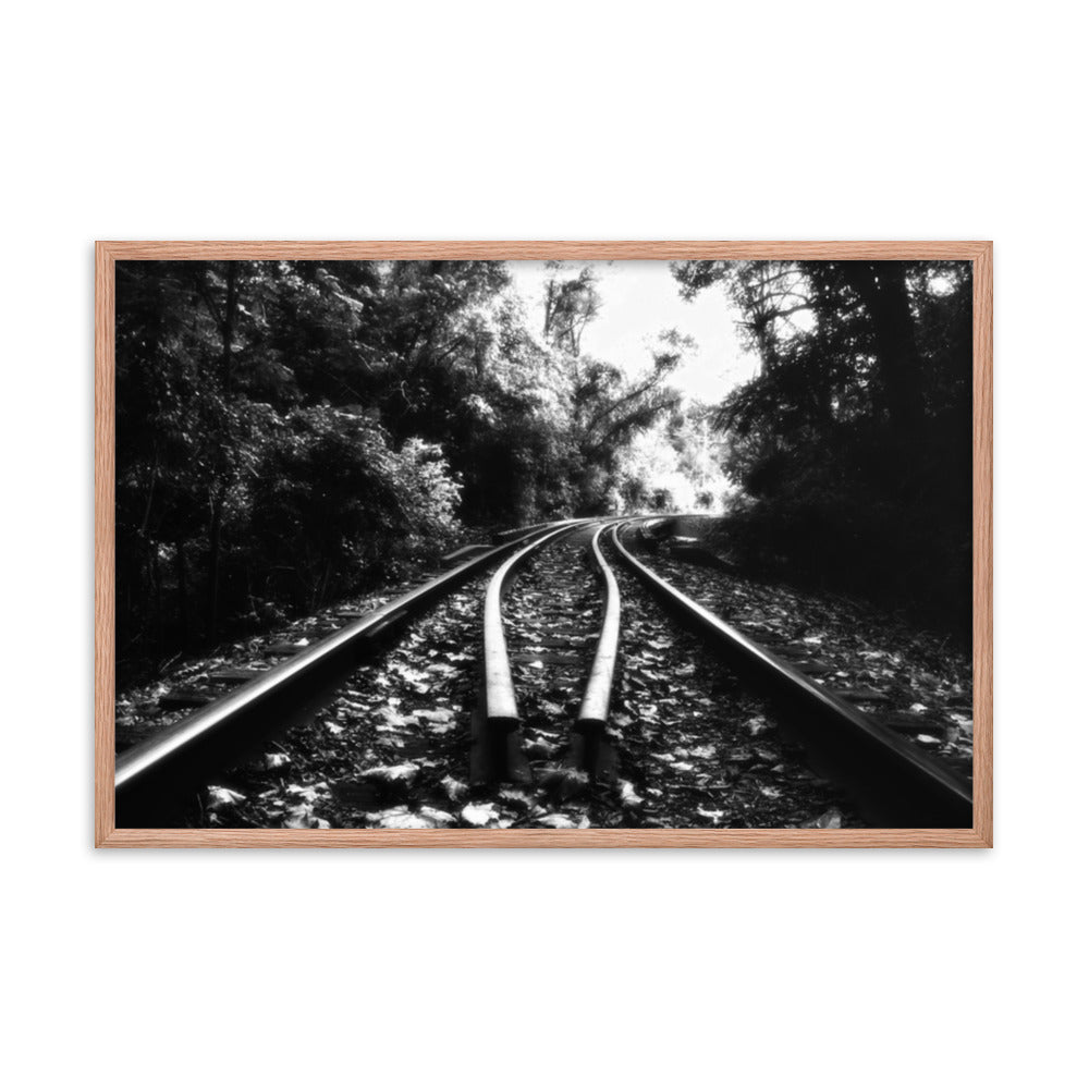 Lead Me into the Light in Black and White Framed Photo Paper Wall Art Prints