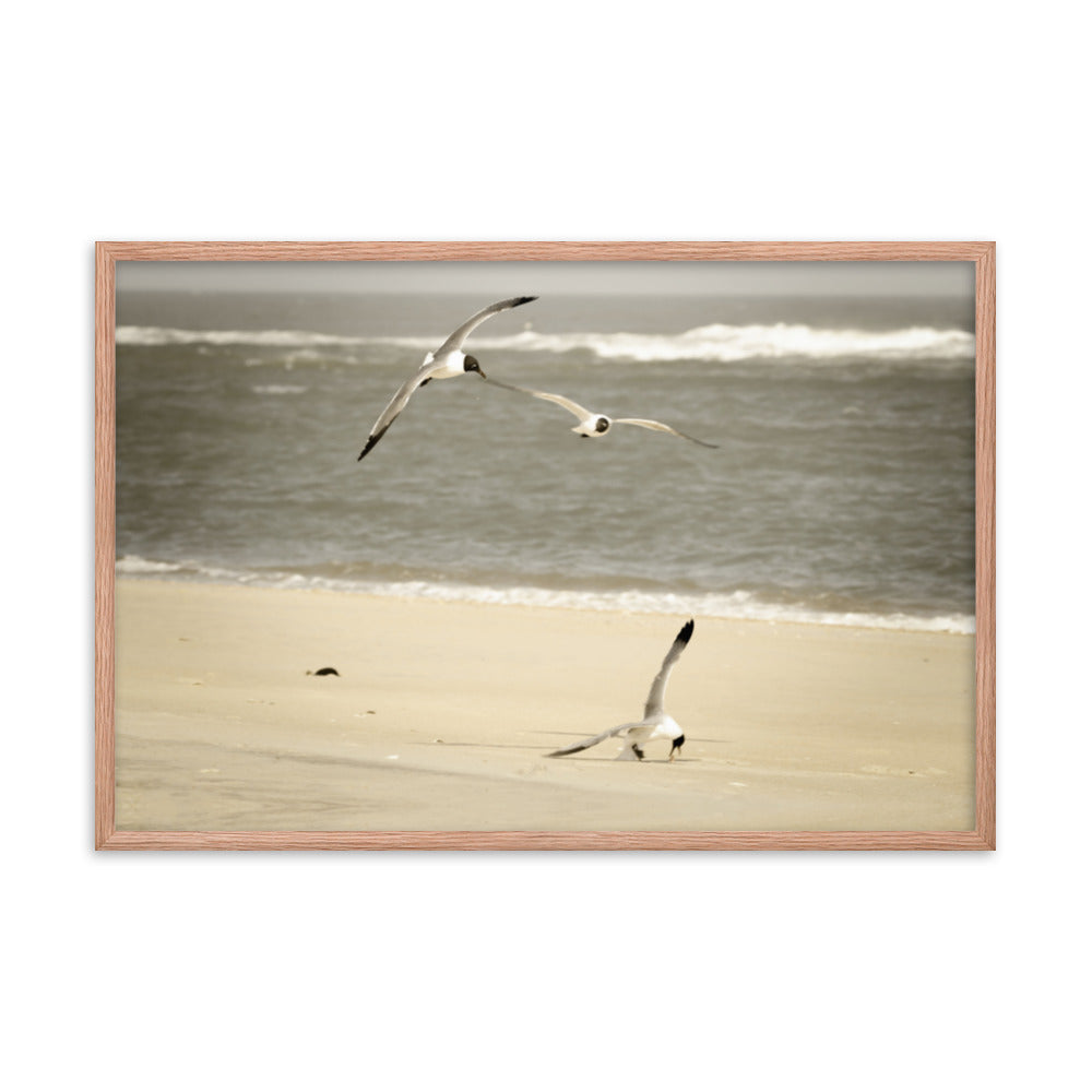 Life at the Shore Coastal Landscape Photo Framed Wall Art Print