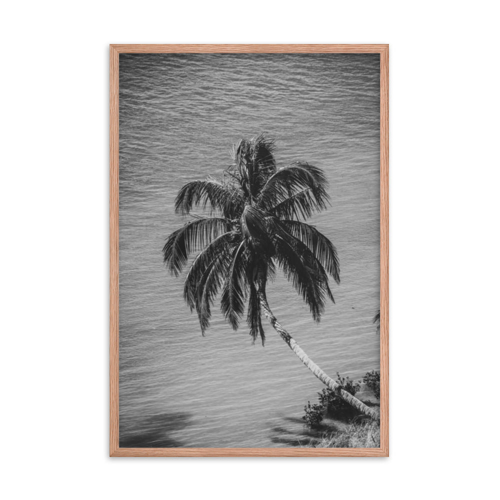 Palm Over Water Black and White Botanical Nature Photo Framed Wall Art Print