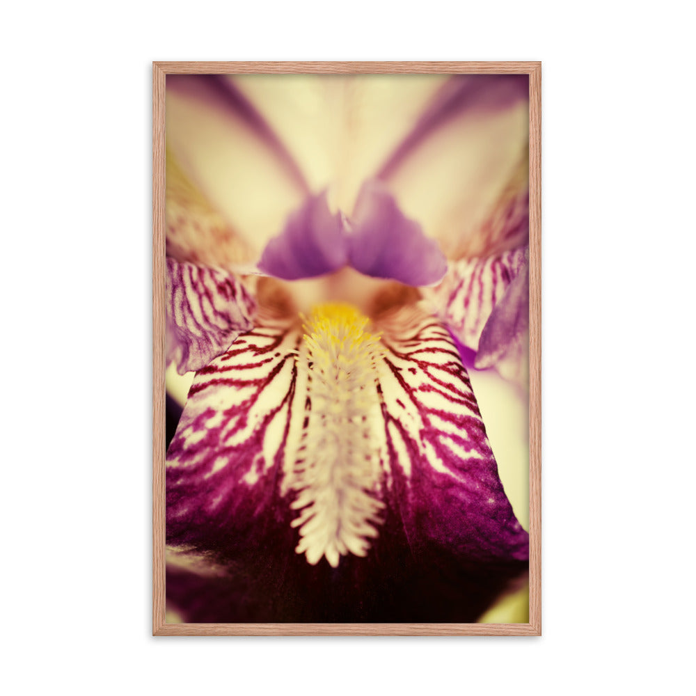 Wall Art Prints Flowers: Antiqued Iris Floral / Flora / Botanical / Nature Photo Framed Wall Art Print - Artwork - Modern Wall Decor