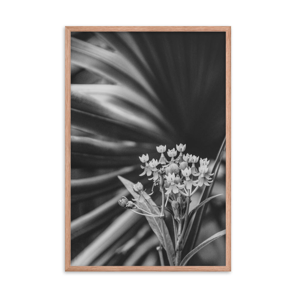 Bloodflowers and Palm Black and White Framed Wall Art Print