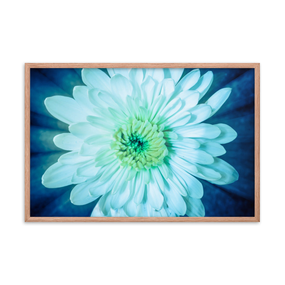 Brilliant Flower Floral Nature Photo Framed Wall Art Print