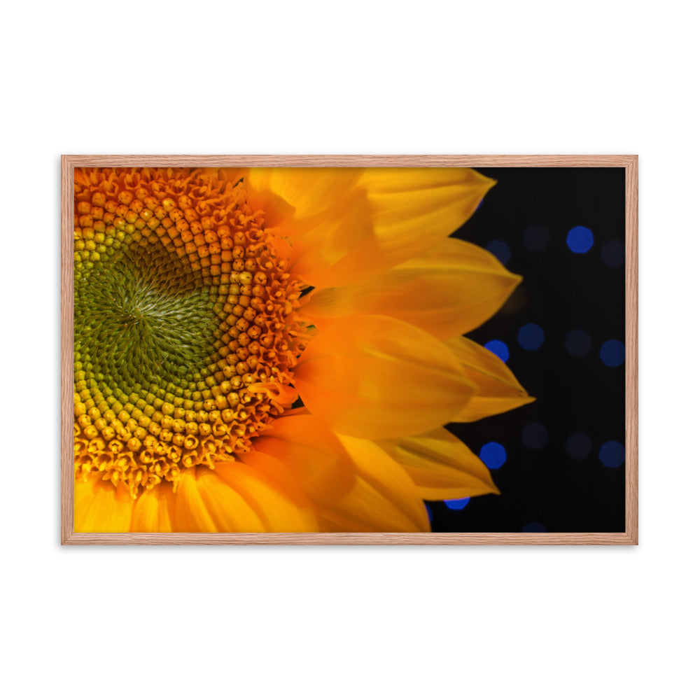 Close-up Sunflower Floral Nature Photo Framed Wall Art Print