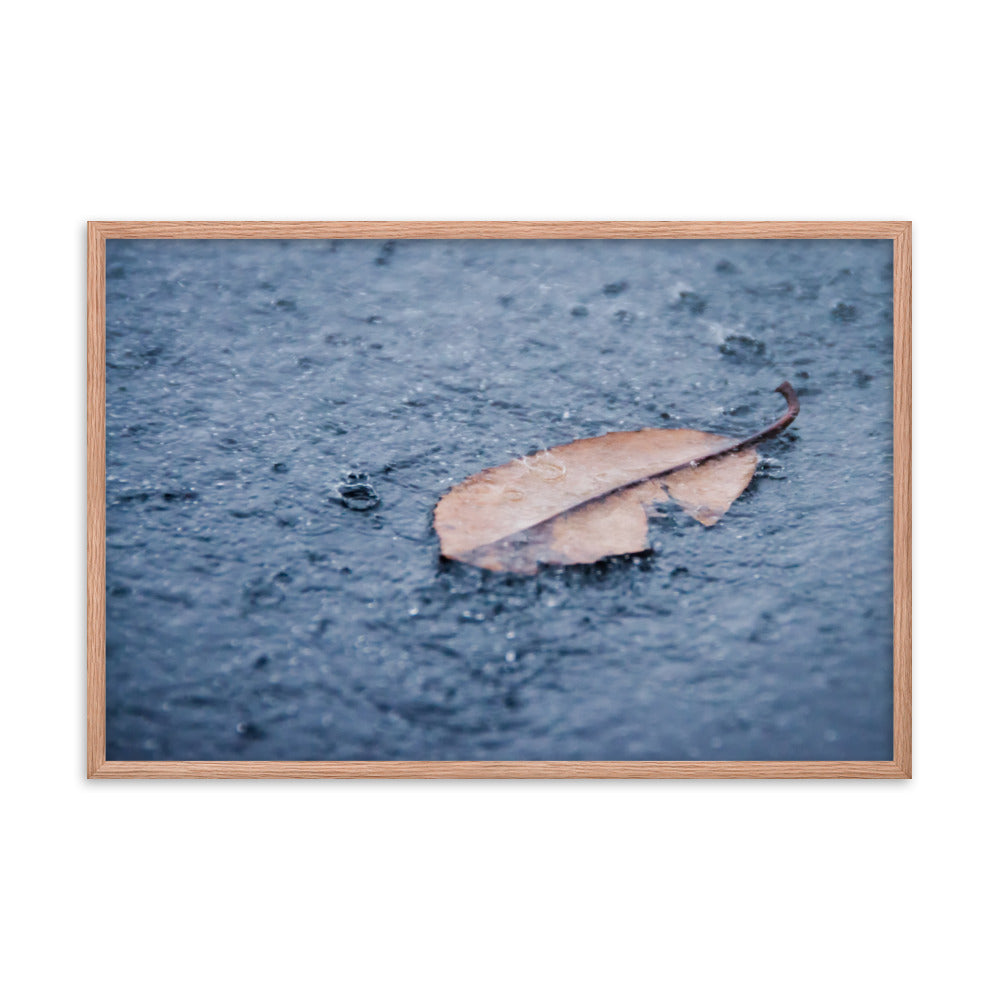 Fallen Leaf in The Rain Color Botanical Nature Photo Framed Wall Art Print