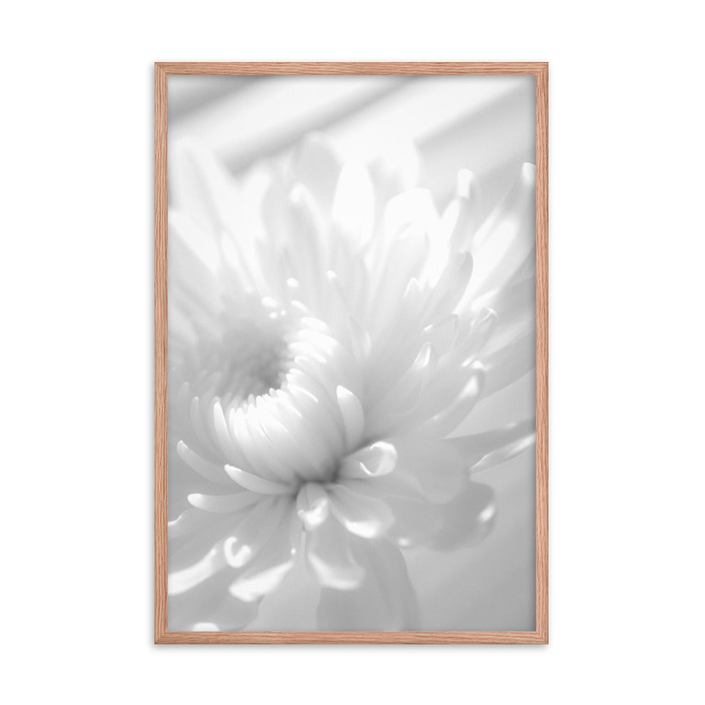 Infrared Flower Black and White Floral Nature Photo Framed Wall Art Print