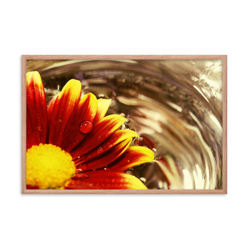 Floating Mum Floral Nature Photo Framed Wall Art Print