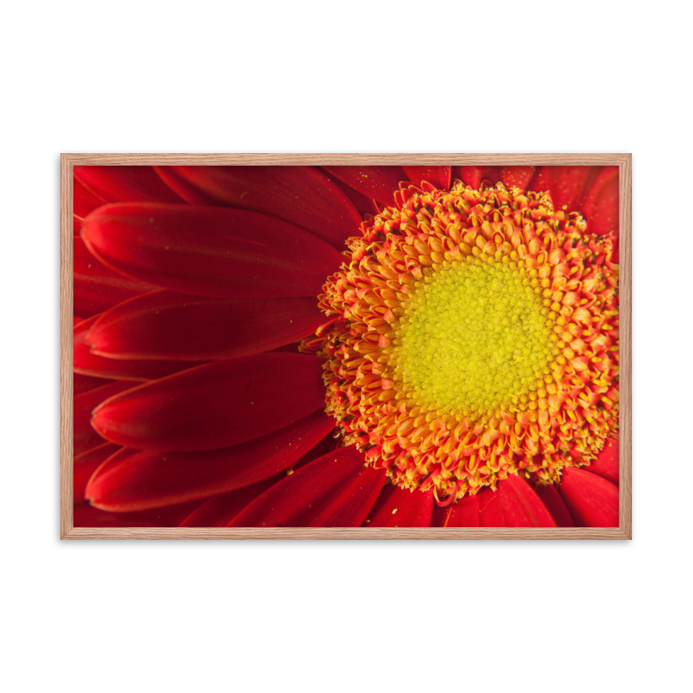 Nature's Beauty Floral Nature Photo Framed Wall Art Print