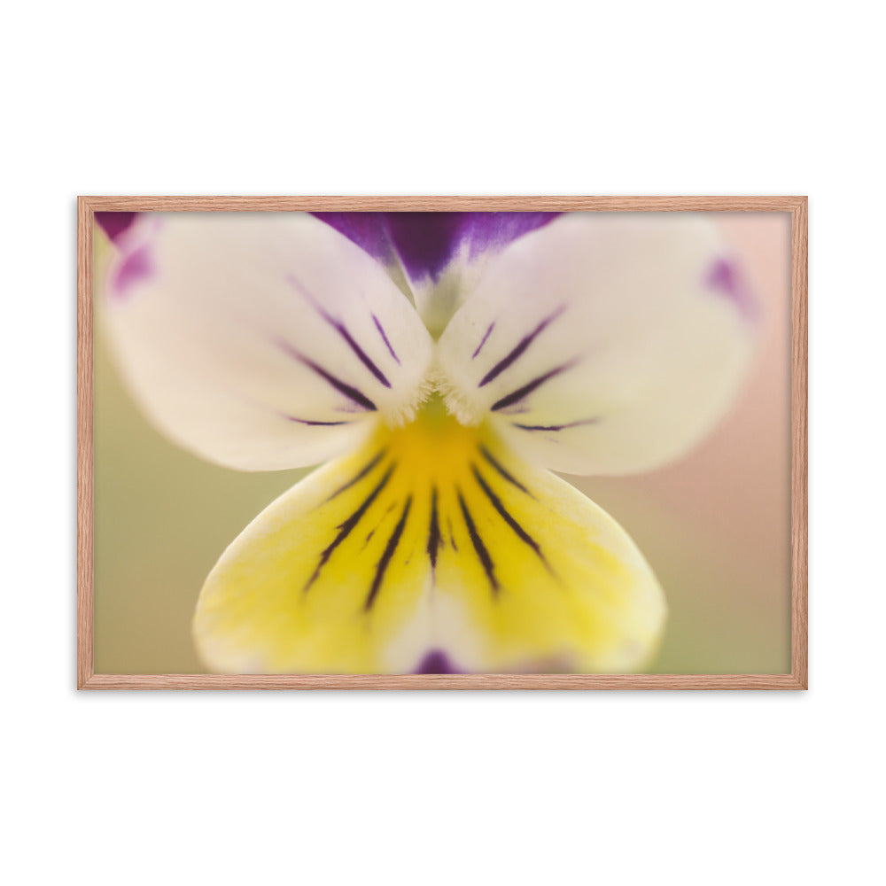 Oh Violet Floral Nature Photo Framed Wall Art Print