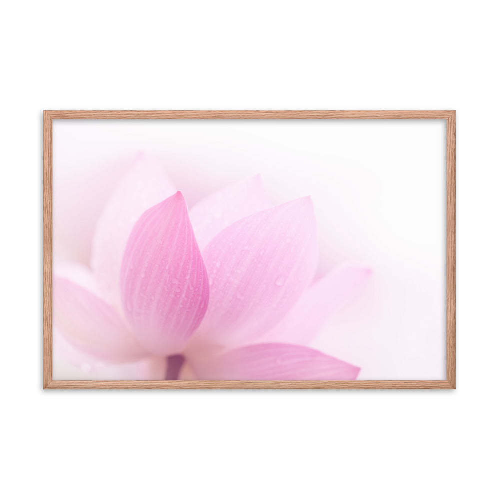 Peaceful Close-up Pink Lotus Petal Floral Framed Nature Photo Paper Poster