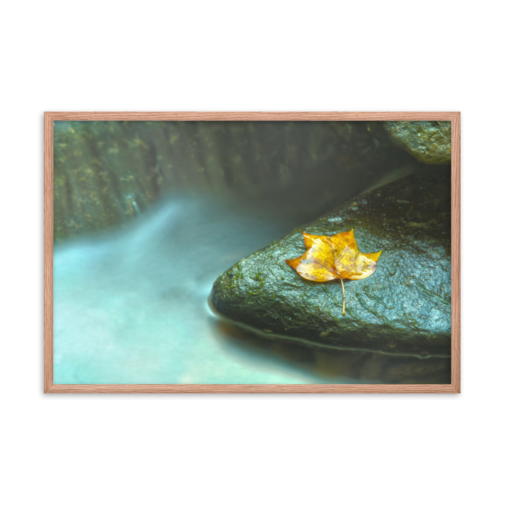 Misty Leaf Botanical Nature Photo Framed Wall Art Print