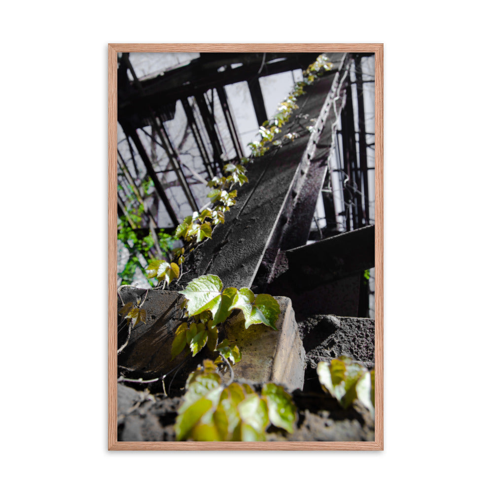 Nature Taking Over Botanical Nature Photo Framed Wall Art Print