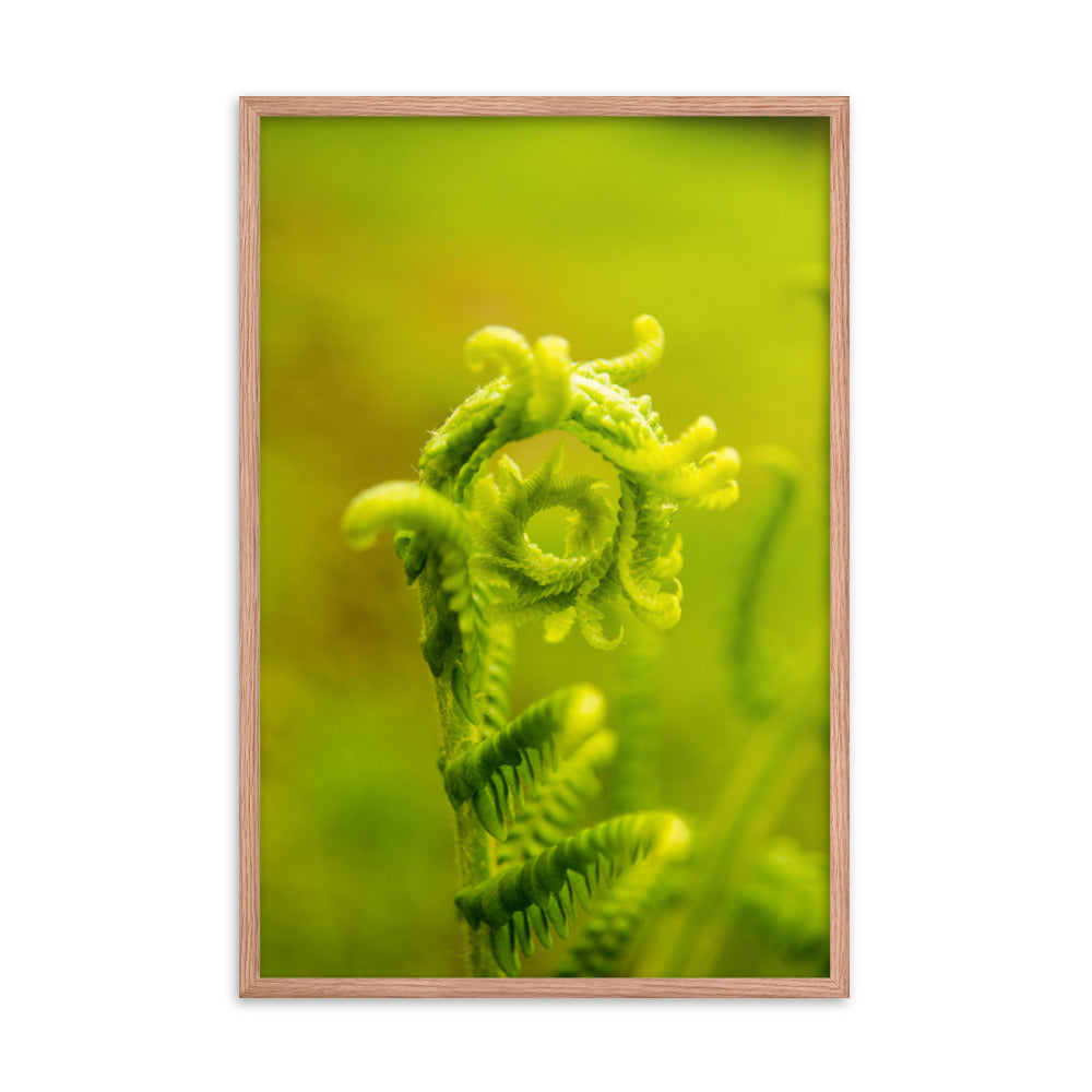 Nature's Perfection Botanical Nature Photo Framed Wall Art Print