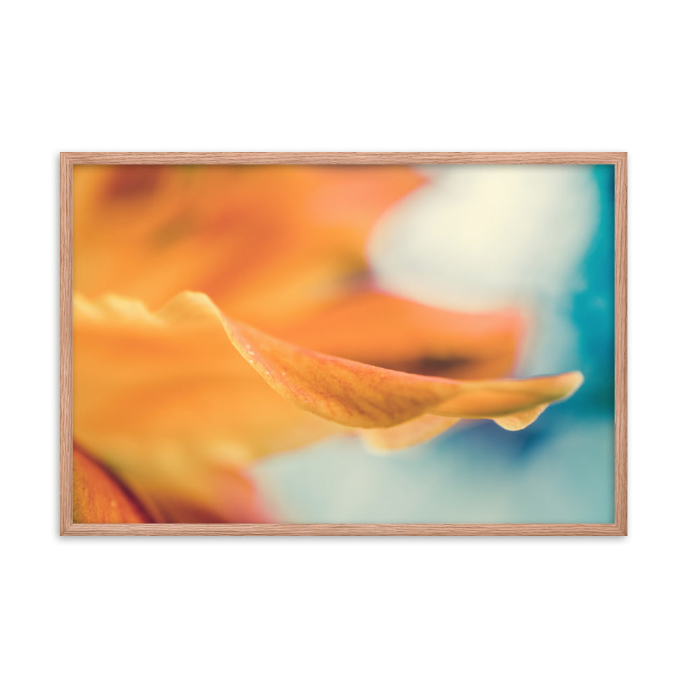 Serene Petals of Life Floral Nature Photo Framed Wall Art Print