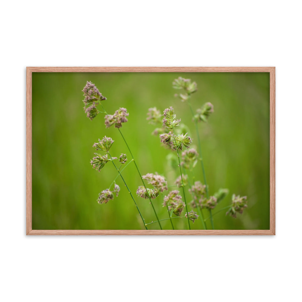 Softened Fields Botanical Nature Photo Framed Wall Art Print