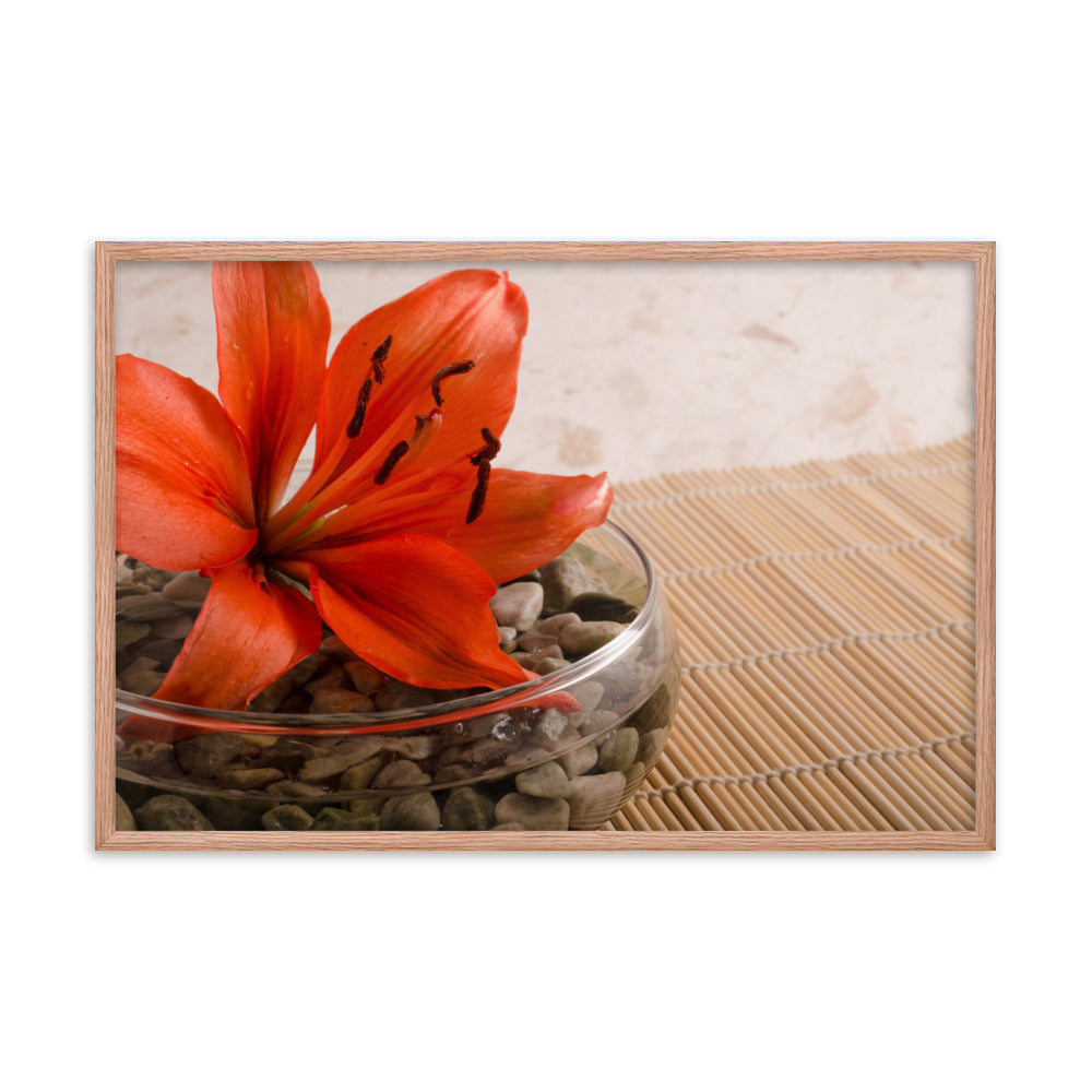 Tranquil Lily Floral Nature Photo Framed Wall Art Print