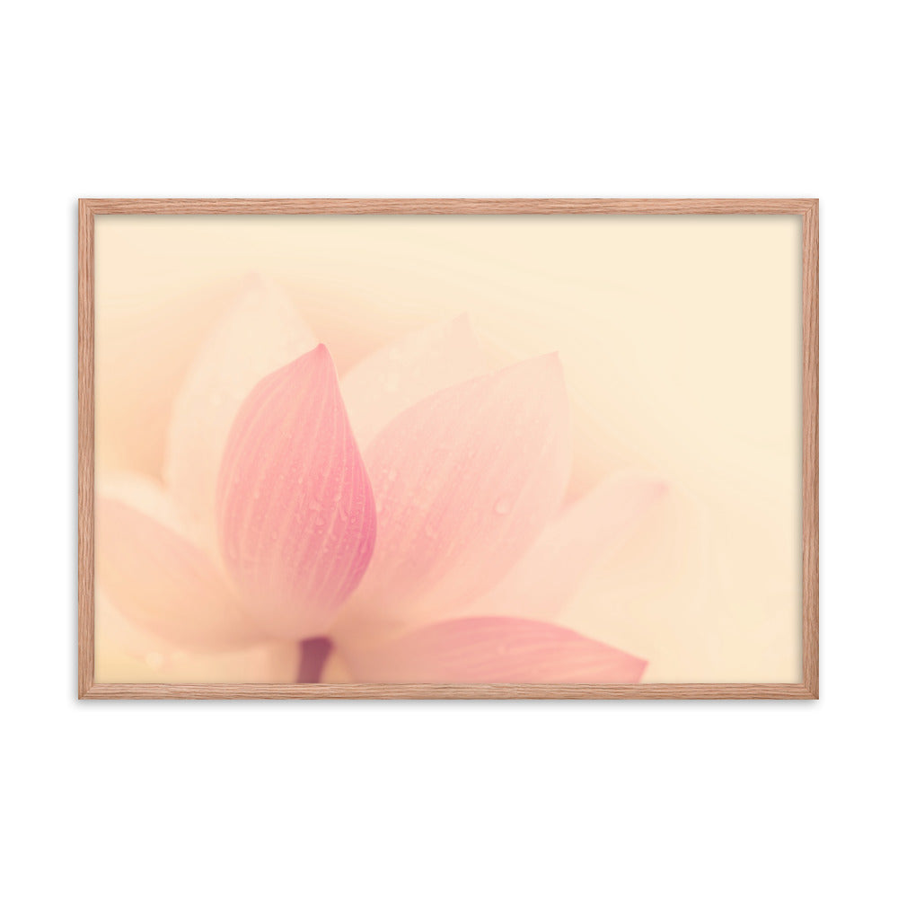 Tranquil Close-up Pink Lotus Petal Framed Photo Paper Poster