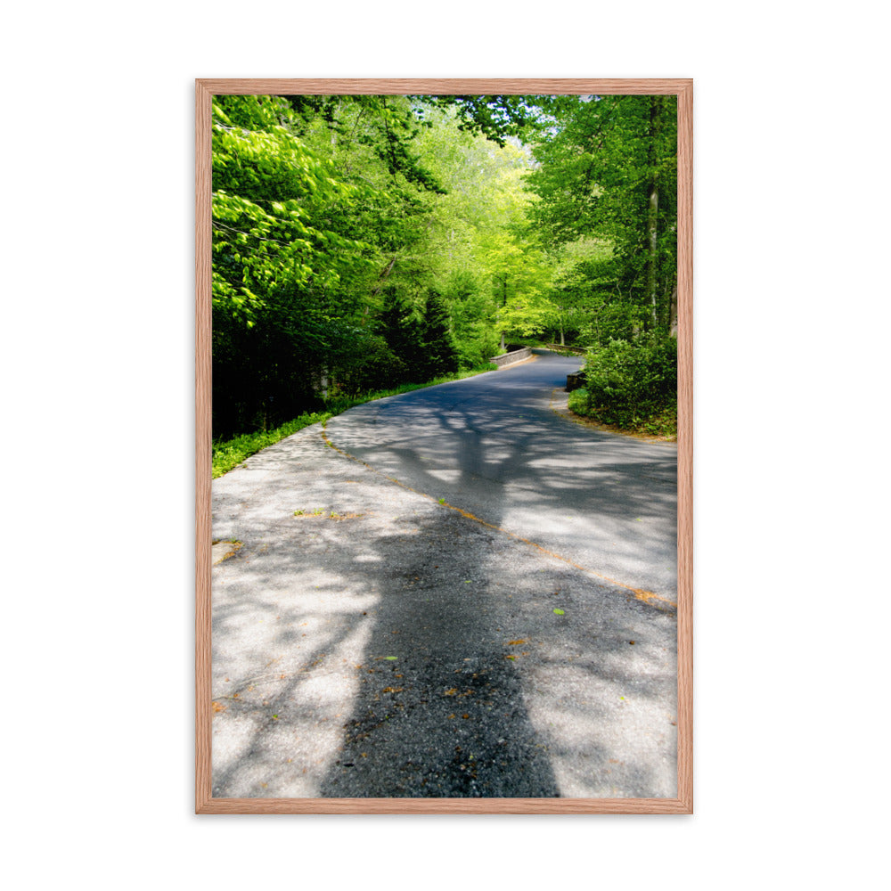 Summer Shadows Botanical Nature Photo Framed Wall Art Print