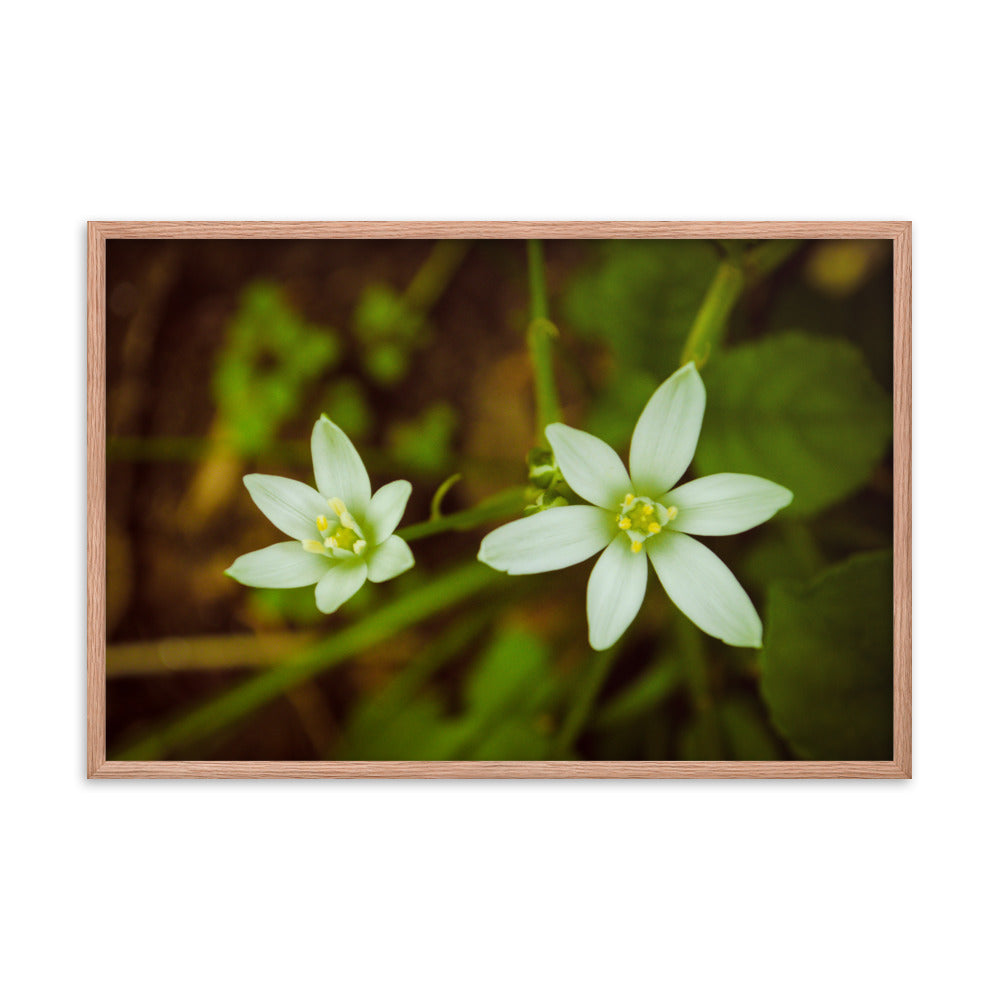 Wild Beauty Floral Nature Photo Framed Wall Art Print