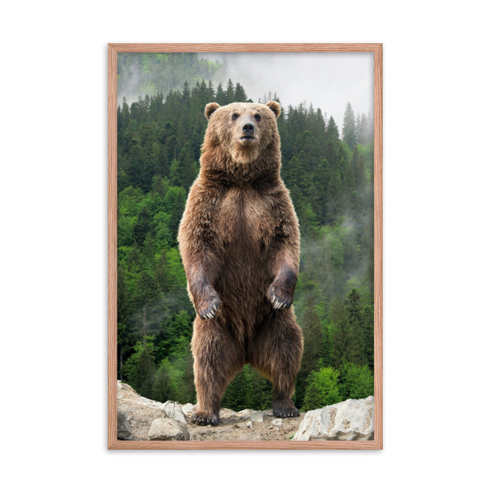 Big Standing Brown Bear on Mountain Top Animal Wildlife Photograph Framed Wall Art Prints