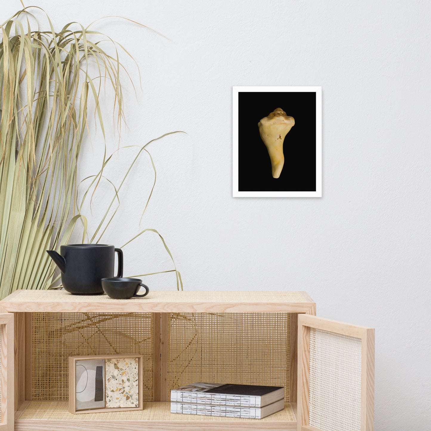 State of Erosion Image 8 Whelk Shell Coastal Nature Photo Framed Wall Art Print