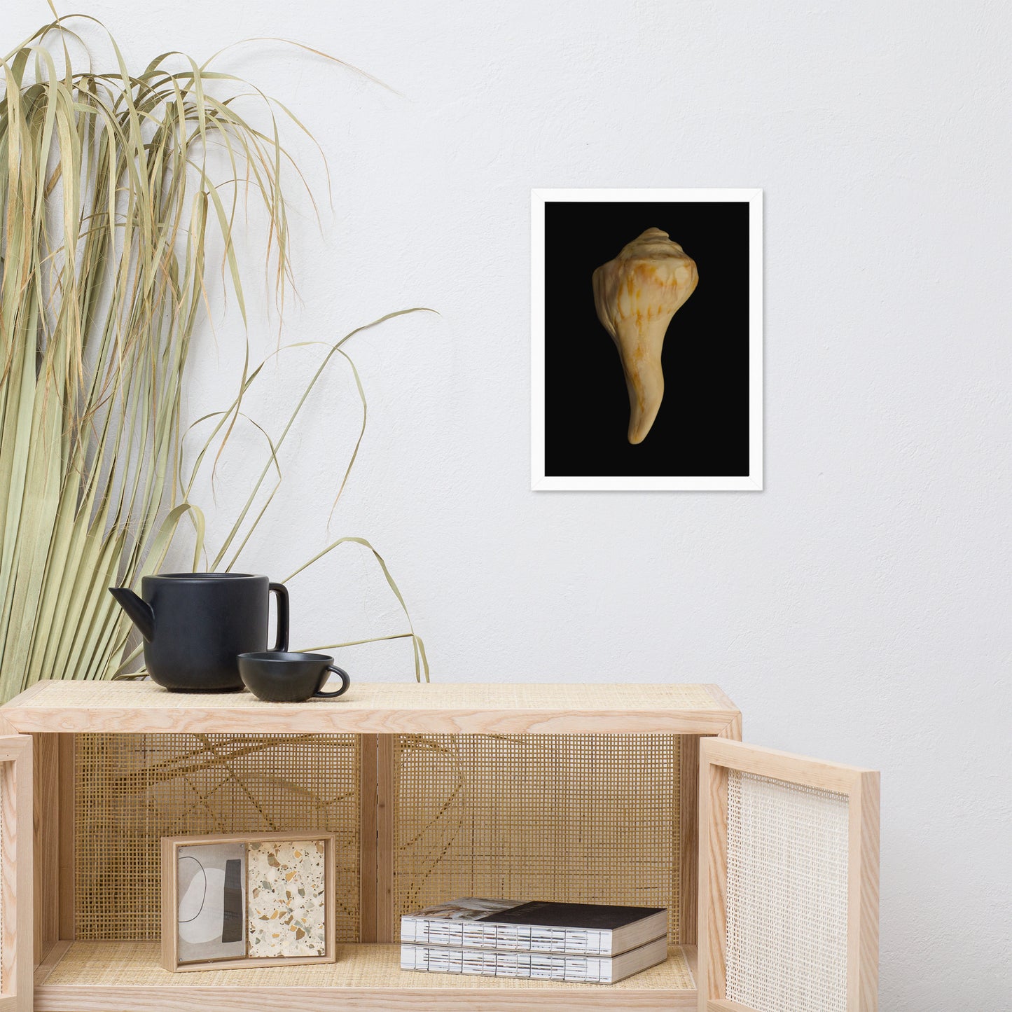 States of Erosion Image 9 Whelk Shell Coastal Nature Photo Framed Wall Art Print