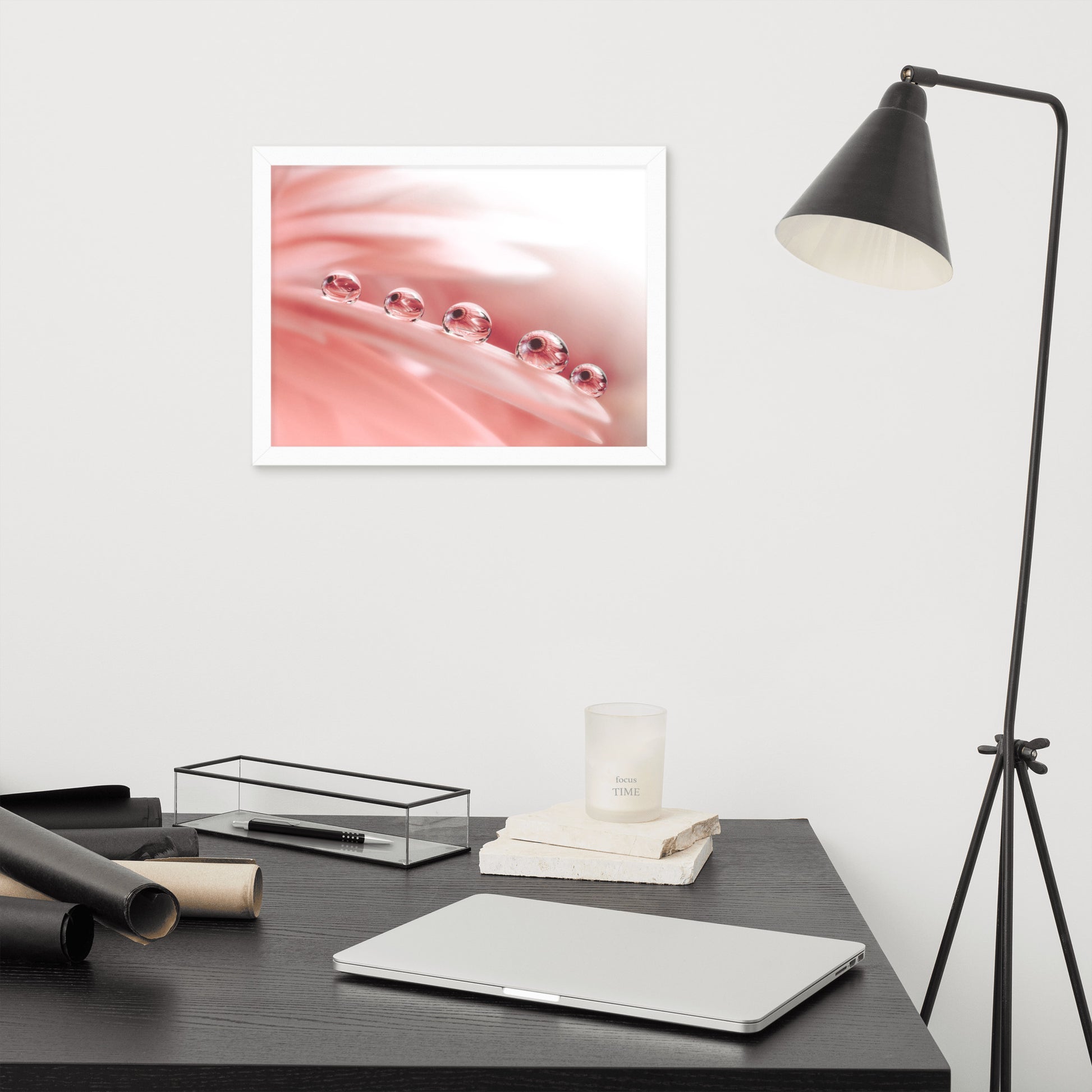 Art Photo: Dew Drops on Gerbera Daisy Petals Floral Botanical Photograph Shabby Chic - Vintage Framed Wall Art Print